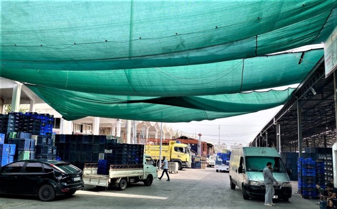 Savaşan Ülkelere Durma Noktasına Gelen Tarım Ürünleri İhracatı Yeniden Başladı