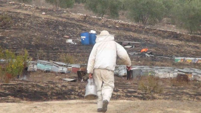Antalya’da Arı Kovanları Alev Alev Yandı