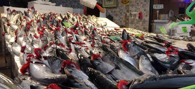 Balıkçılar Palamutun Ardından Hamsinin Yolunu Gözlüyor