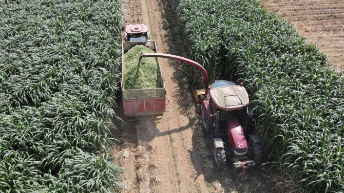 Olgunlaşan Gübre Üründe Kalite Ve Verimi Artırıyor