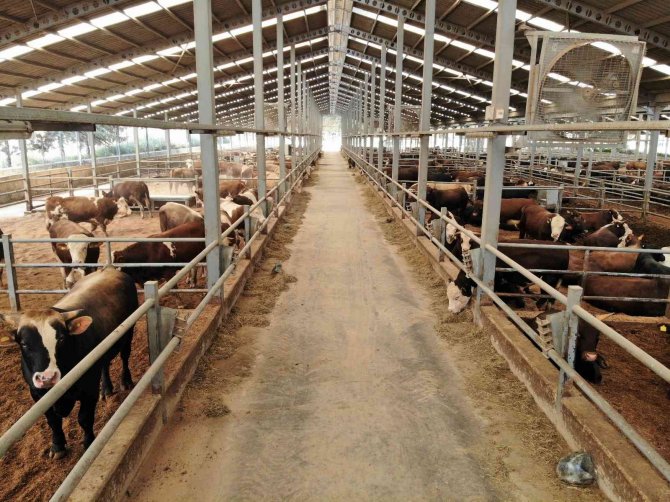 Olgunlaşan Gübre Üründe Kalite Ve Verimi Artırıyor