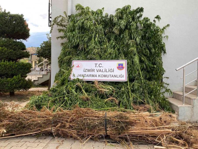 İ̇zmir’in 4 İlçesinde Zehir Baskını: 14 Gözaltı
