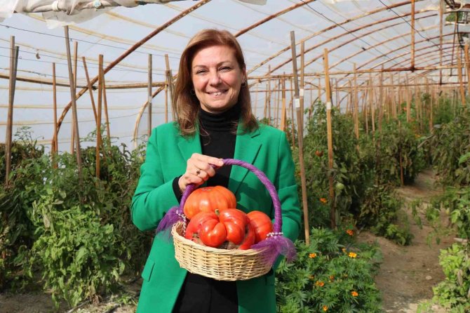 Safranbolu Belediyesi’nden Üretime Destek Kursu