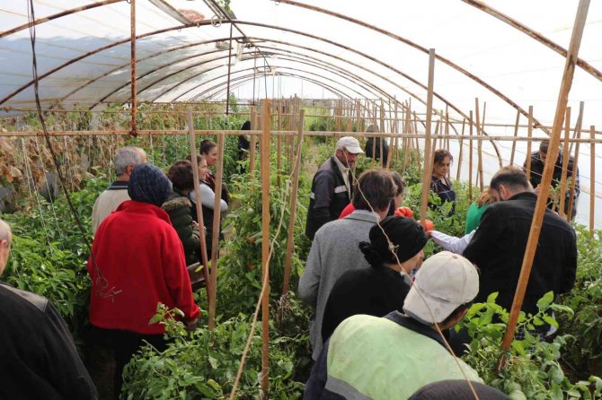 Safranbolu Belediyesi’nden Üretime Destek Kursu