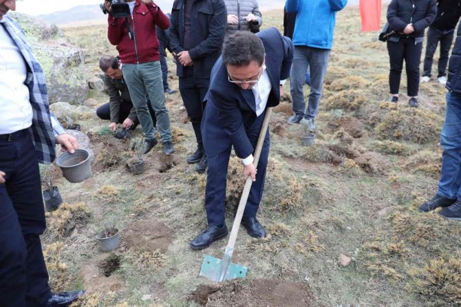 Erciyes Lavantayla Renkleniyor