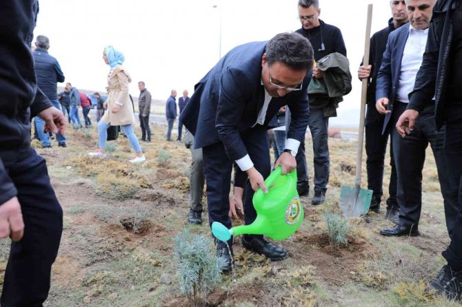 Erciyes Lavantayla Renkleniyor