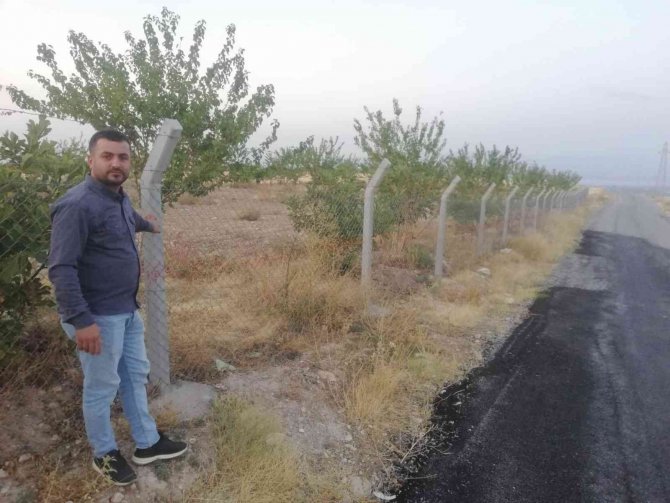 Kayısı Üreticisinin Başı Tel Örgü Hırsızlarıyla Dertte