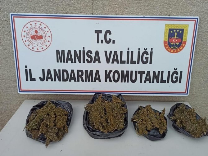 Akhisar’da Toprağa Gömülü 1 Kilo 650 Gram Esrar Ele Geçirildi