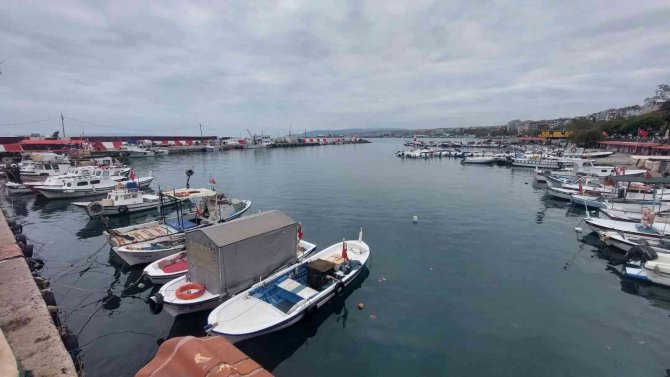 10 Günlük Esaret Bitti: Şimdi De Yunuslarla Başları Belada