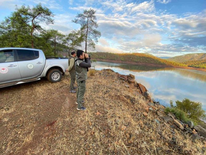 Av Koruma Çalışmaları Devam Ediyor