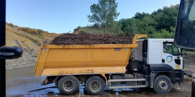 Ordu Sahillerden 51 Ton Atık Toplandı