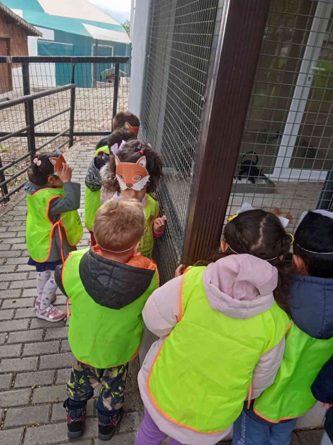 Osmangazi’de Minik Öğrencilerden Can Dostlarına Ziyaret