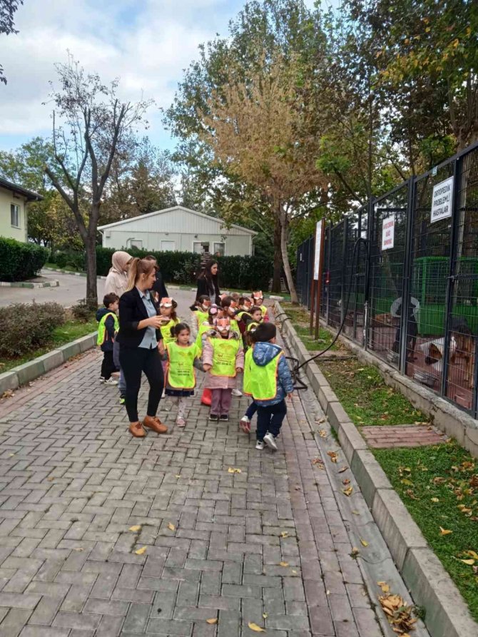 Osmangazi’de Minik Öğrencilerden Can Dostlarına Ziyaret
