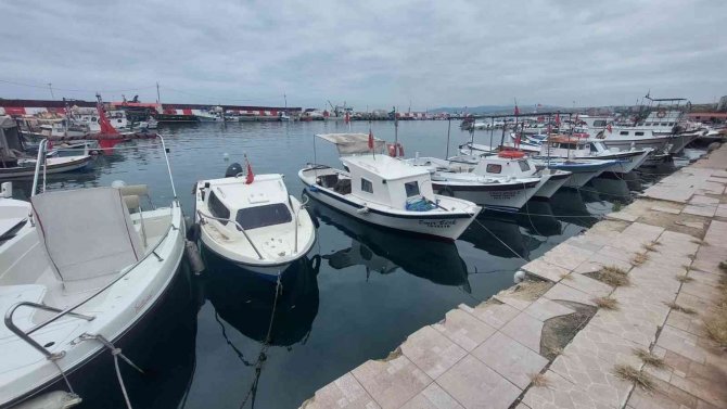 10 Günlük Esaret Bitti: Şimdi De Yunuslarla Başları Belada