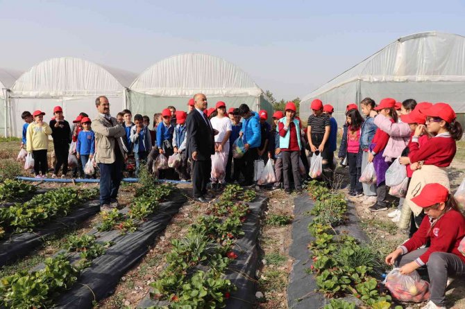 "Öğrenciler Tarımı Çok Sevdi"