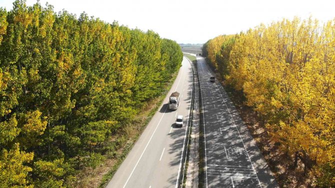 Karayolunda Sonbahar Koridoru