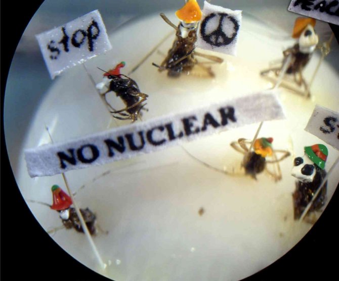 Kruvaziyer Turistlerinin Yeni Rotası Mikro Minyatür Müzesi Oldu