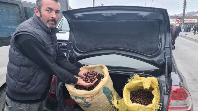 Türkiye’nin Dört Bir Yanından ’Alaplı Kuzusu’ Almak İçin İlçeye Akın Ettiler