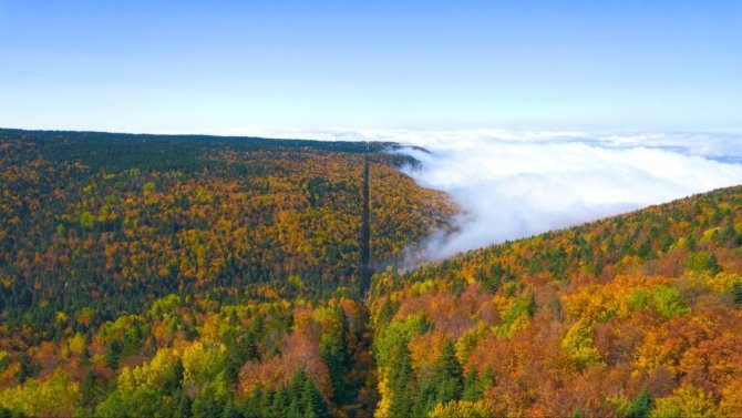 Uludağ’da Sonbahar Güzelliği Havadan Görüntülendi