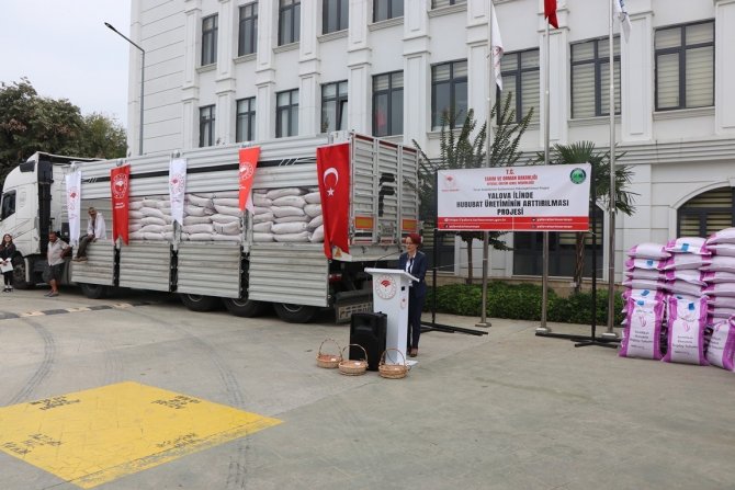 Yalovalı Çiftçilere 135 Ton Buğday Ve Arpa Tohumu Dağıtıldı