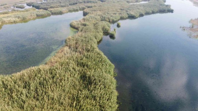 Ağrı Dağı Milli Parkı’nda Sonbahar Güzelliği