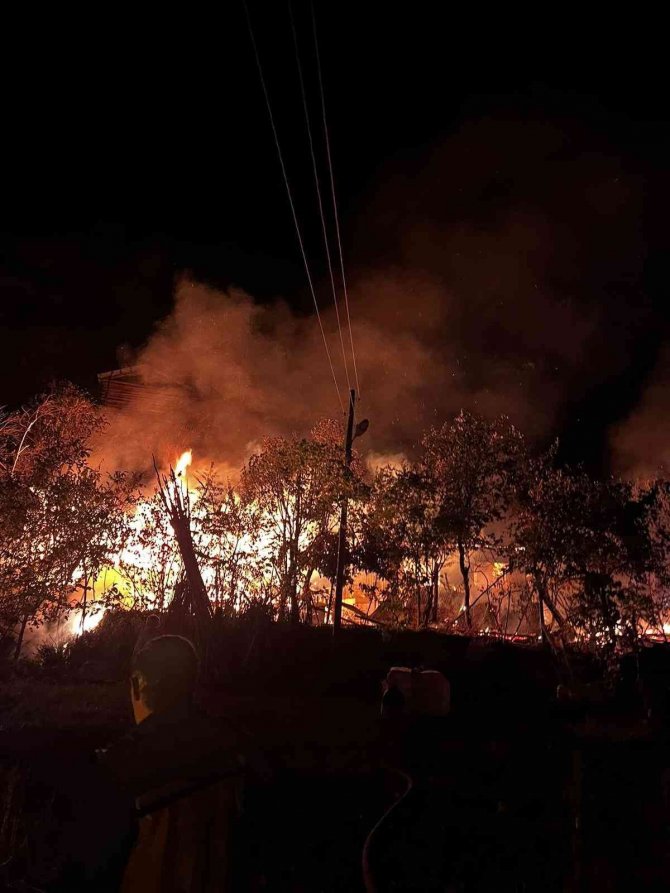 Artvin’de Gece Çıkan Yangında 3 Ev Kullanılamaz Hale Geldi