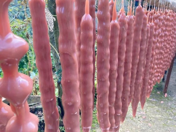 Arhavi’de Kadınlar İmece Usulü Köme Pestil Yapımına Başladı