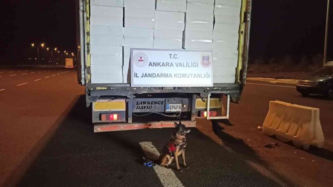 Ankara’da 21 Milyonu Aşkın Bandrolsüz Makaron Ele Geçirildi