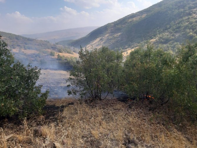 Bingöl’de Çıkan Örtü Yangını Söndürüldü