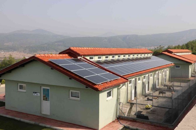 Büyükşehir Can Dostların Enerjisini Güneşten Üretecek