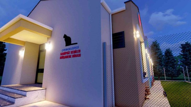 Çorum Belediyesinden Kedi Evi Projesi