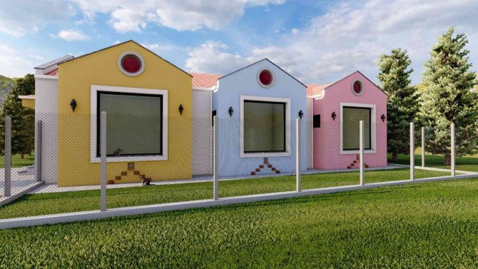 Çorum Belediyesinden Kedi Evi Projesi