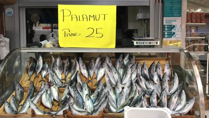 Karadeniz’de Palamudun Fiyatı 25 Liraya Düştü
