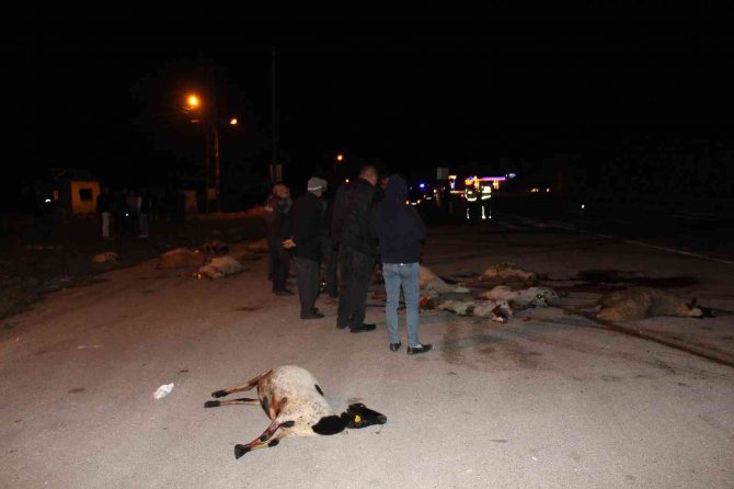 Amasya’da Otomobillerin Çarptığı Sürüdeki 25 Koyun Telef Oldu