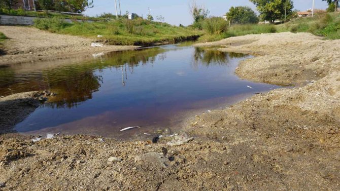 Derenin Rengi Paniğe Sebep Oldu, İnceleme Başlatıldı