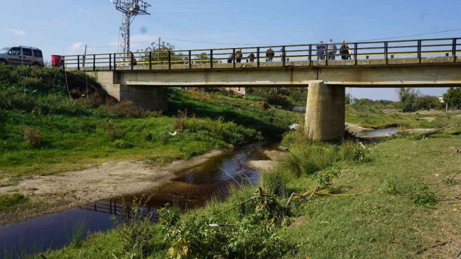 Derenin Rengi Paniğe Sebep Oldu, İnceleme Başlatıldı