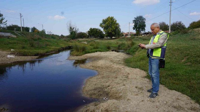 Derenin Rengi Paniğe Sebep Oldu, İnceleme Başlatıldı