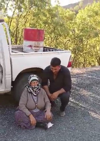 Elazığ’da Kafası Ağaca Sıkışan İnek Kurtarıldı