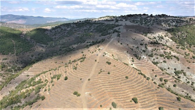 Emet’te 48,5 Hektarlık Ağaçlandırma Sahasına 90 Bin Kızılçam Fidanı Dikilecek