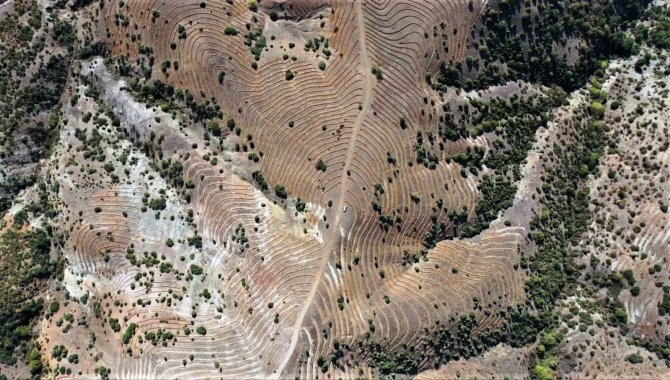 Emet’te 48,5 Hektarlık Ağaçlandırma Sahasına 90 Bin Kızılçam Fidanı Dikilecek