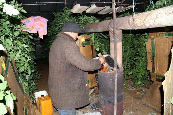 Erzincan, Bayburt, Erzurum Ve Ardahan İçin Zirai Don Uyarısı