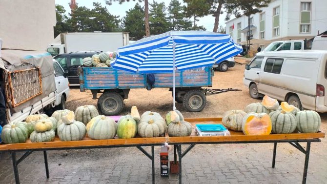 Mihalıççık’ta 30 Kiloluk Dev Balkabaklarına İlgi Yoğun