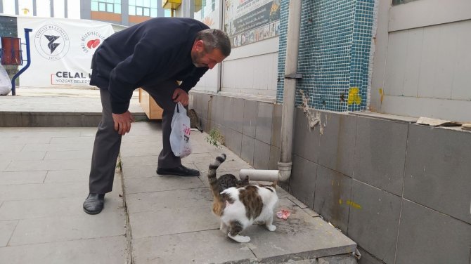 Her Sabah İş Yerini Açmadan Sokak Kedilerini Besliyor