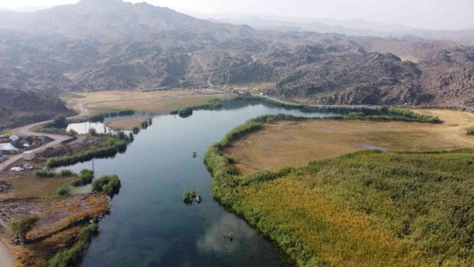 Ağrı Dağı Milli Parkı’nda Sonbahar Güzelliği