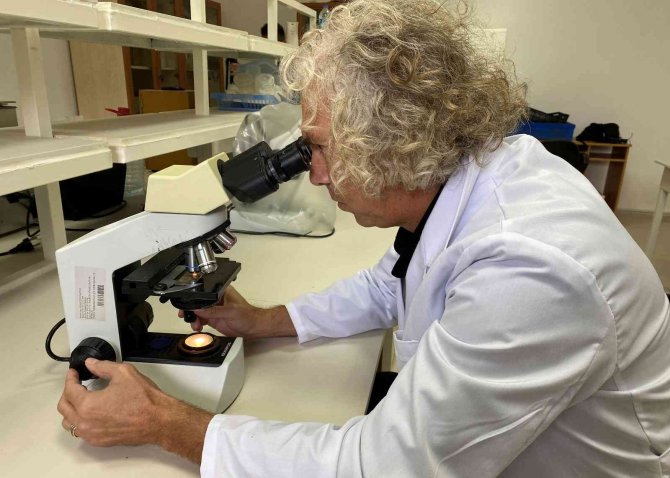 Karadeniz’de Yetişen Kalkan Balığında İki Yeni Parazit Keşfedildi