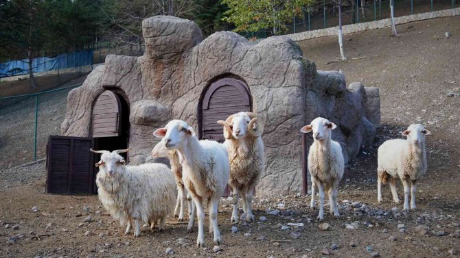 Keçiören’de Sonbaharla Birlikte Doğal Yaşam Şenlendi