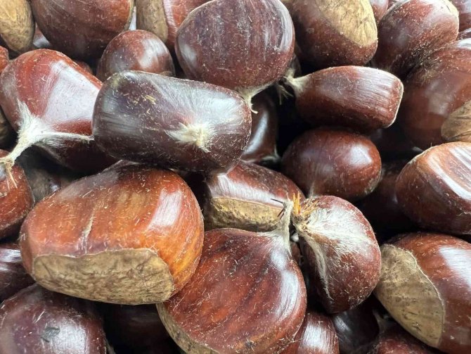 Düzce Kestanesi Tezgaha İndi, Kilosu 50 İle 70 Liradan Satılıyor