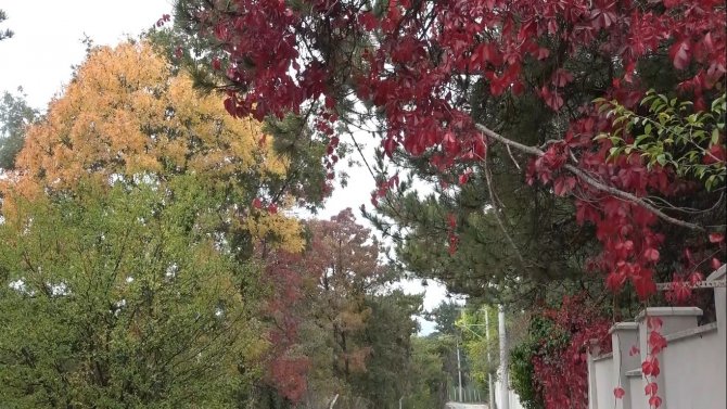 Kütahya Ilıca’da Sonbahar Güzelliği