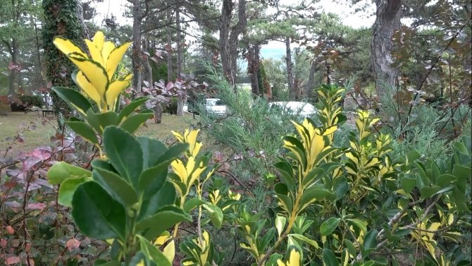 Kütahya Ilıca’da Sonbahar Güzelliği