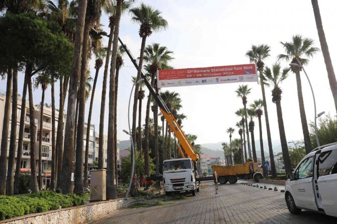 Marmaris’te Palmiyeler Bakıma Alındı